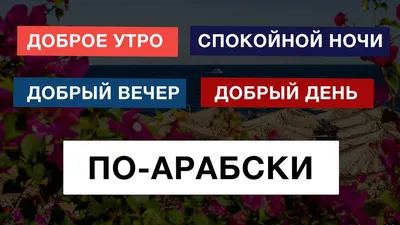 У Арабов есть красивое пожелание. В место \"Спокойной ночи\", они говорят  \"тусбихун 'аля хайр\", что переводится как.. | ВКонтакте
