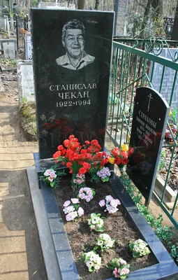 Путешествие по жизни звезды: вдохновляющие фотографии Станислава Чекана