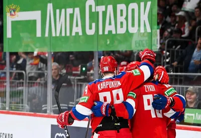Правила наиболее популярных видов спорта для ставок