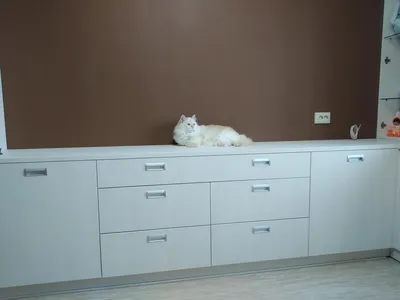 Фотографии Степана Белозерова, которые вдохновляют