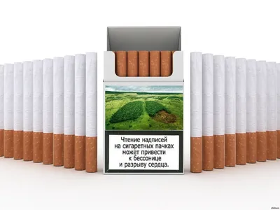 Сигареты со «страшными» картинками появятся в супермаркетах с 1 августа [+  фото] | KLOOP.KG - Новости Кыргызстана