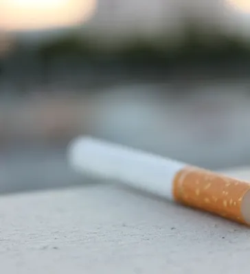 В странах ЕАЭС на пачках сигарет появятся новые устрашающие картинки -  Кривое-зеркало.ру