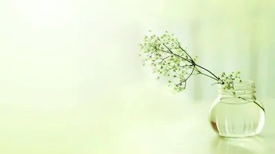 Светлый фон на рабочий стол (45 лучших фото)