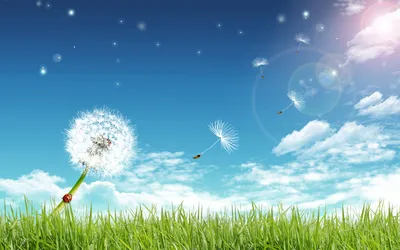 Fresh Sun Light Wallpapers | HD Wallpapers | ID #3962