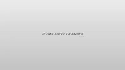 Макро, растения, ветки, листья, резные, светлые обои на рабочий стол  скачать бесплатно