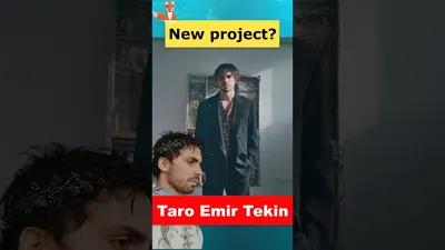 Фото Таро Эмир Текин в высоком разрешении