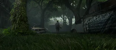 Элли в засаде в The Last Of Us 2 - скачать бесплатно живые видео обои игры  для рабочего стола Windows 10/8/7, пр… | The last of us, State of play,  Playstation games