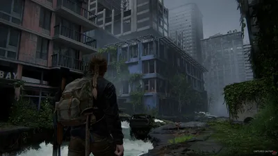 Фоторежим в The Last of Us 2 будет доступен на релизе - Shazoo