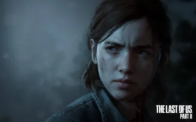 The Last of Us 2 обои для рабочего стола, картинки и фото - RabStol.net