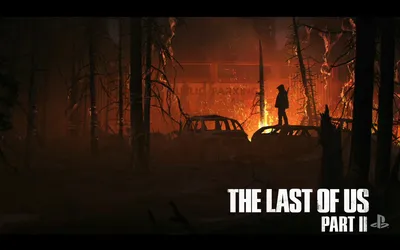 The last of us 2 картинки на рабочий стол фотографии