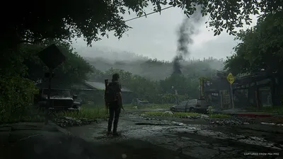 The Last of Us Part 2 Wallpapers I found : r/wallpapers