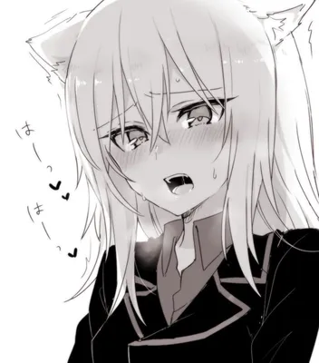 Авы аниме тян🦊❤️ | Young Forever✨ Amino