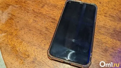 Золотой iPhone X и тюремный срок за утечку информации Apple - Rozetked.me