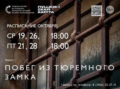 Тюремный интернет