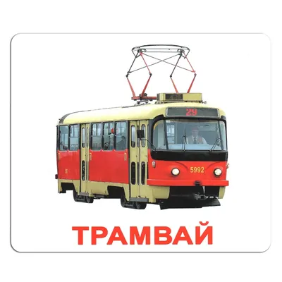 Деревянные Пазлы С 48525 (400) МИКС, животные, букашки, транспорт, название  картинки на английском, в пленке. Интернет-магазин игрушек KOPEYKA TOYS