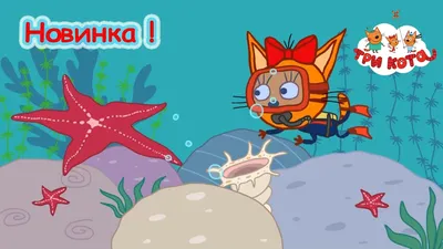 Три кота рисунки (Много фото!) - drawpics.ru