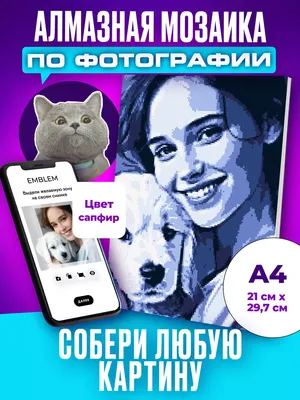 Перекрашиваем картинки с помощью CSS — Журнал «Код» программирование без  снобизма