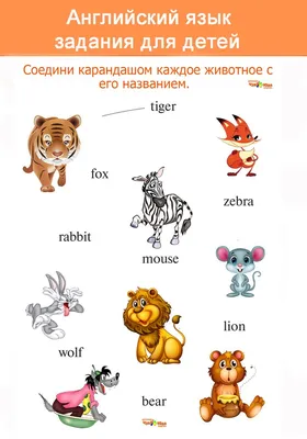 Описание Внешности на Английском