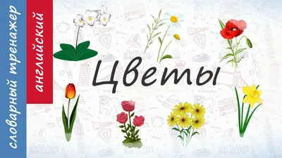 Цветы на английском. - YouTube