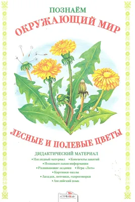 Буква A Акварельных Цветов, Изолированные Рисованной На Белом Фоне,  Свадебный Дизайн, Английский Алфавит Фотография, картинки, изображения и  сток-фотография без роялти. Image 102489151