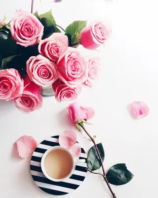 Мини-карточки Домана \"Цветы / Flowers\" на укр/англ. Вундеркинд с пеленок -  Карточки Домана