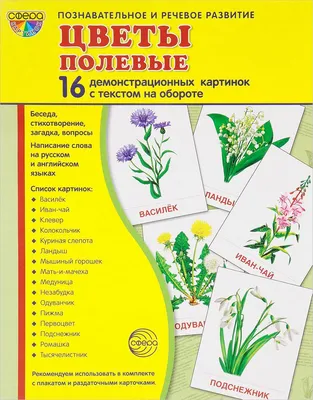 картинки : природа, цветок, лепесток, Роза, Розовый, Флора, Розы,  Instagram, Wordpress, Цветет, Флористика, Блог, Флорибунда, белый фон,  Розовые розы, цветущее растение, Садовые розы, Розовая семья, цифровой  маркетинг, букет цветов, срезанные цветы ...