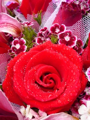 Картинки good morning цветы (70 фото) » Картинки и статусы про окружающий  мир вокруг