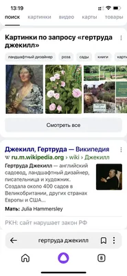 картинки : цветок, лепесток, Роза, Красный, Розовый, Красная роза,  красивая, Флористика, День Святого Валентина, цветущее растение, Садовые  розы, Розовая семья, букет цветов, срезанные цветы, Цветочный дизайн,  Наземный завод, Аранжировка цветов ...