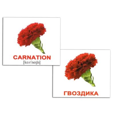 Мини-карточки Домана \"Цветы / Flowers\" на рус/англ. Вундеркинд с пеленок -  Карточки Домана