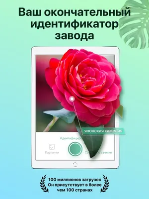 Цвета на английском для детей: учим новые слова