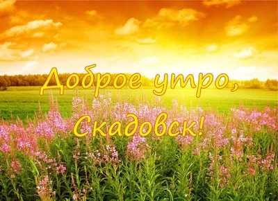 Прикольные картинки удачи на новой работе - 81 фото