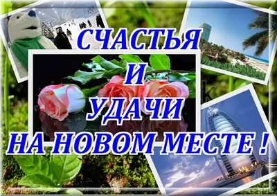 Удача в придачу: рекламная игра от Евроопт в Беларуси, розыгрыш призов в  рекламных играх и акциях - Рекламная игра «Удача в придачу!»