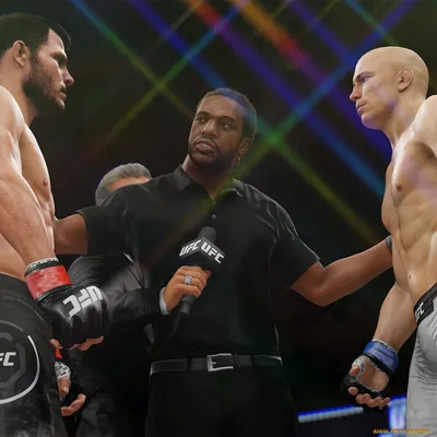 Обои UFC Undisputed 2010 Видео Игры UFC Undisputed 2010, обои для рабочего  стола, фотографии ufc, undisputed, 2010, видео, игры Обои для рабочего стола,  скачать обои картинки заставки на рабочий стол.