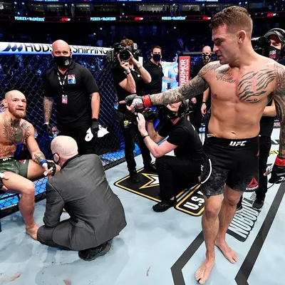 Обои mma, fighter, georges st-pierre, смешанные боевые искусства, боец, ufc  на рабочий стол