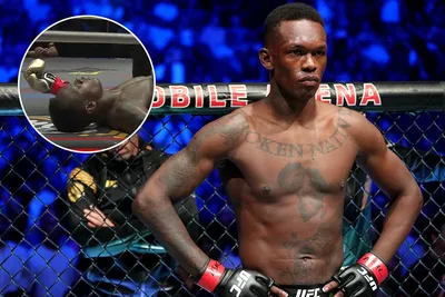 Фотографии Конора Макгрегора с его болельщиками на UFC | Конор Макгрегор  Фото №32335 скачать