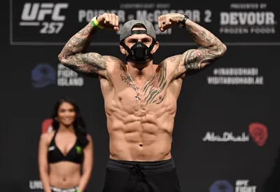 Популярный UFC боец Хосе Альдо - обои для рабочего стола, картинки, фото