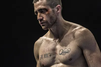 Обои ufc, mma, cookies, раздел Спорт, размер 1920x1200 HD WUXGA - скачать  бесплатно картинку на рабочий стол и телефон
