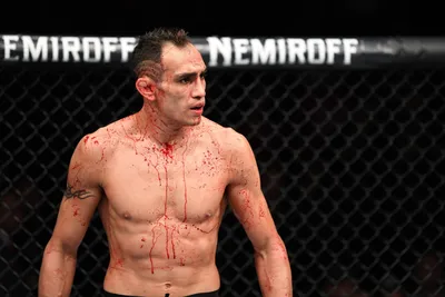 Обои ufc, печенье, раздел Спорт, размер 1680x1050 - скачать бесплатно  картинку на рабочий стол и телефон