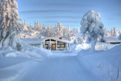 Новый Год 2024: новогодняя музыка, фото, стихи, видео