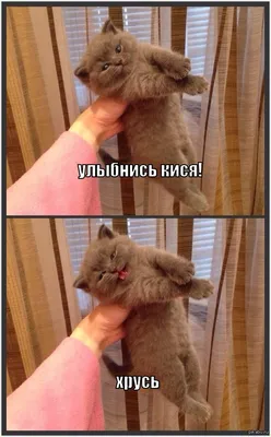 Зуб. Просто улыбнись. Вектор. Черный зуб на белом фоне. Винтажный  ретро-всплеск, грациозный фон . Векторное изображение ©13kovtun@gmail.com  144044867