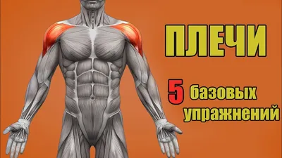6 упражнений для красивой осанки