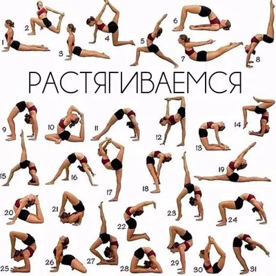 Упражнения на растяжку всего тела в картинках фотографии