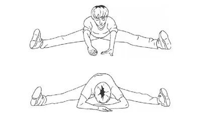 Упражнения для растяжки – комплекс упражнений для растяжки мышц всего тела