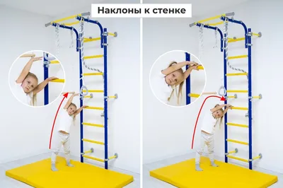 Упражнения на шведской стенке для детей в картинках фото