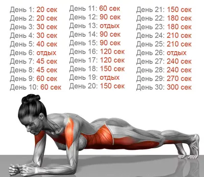 Шведская стенка Central Sport усиленная, Set-14 в Минске по цене 646 руб.
