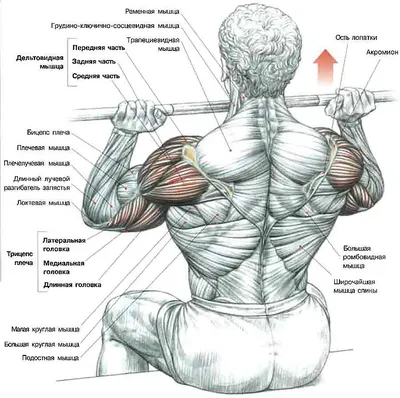 Силовой тренажер Alpin Multi Gym GX-400