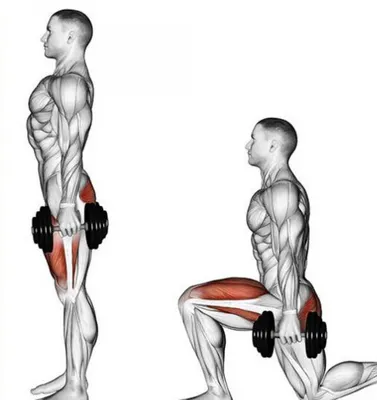 Тренировки для подростков в тренажерном зале - Фитнес клуб FITNESS 24