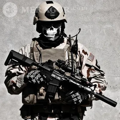USA army / смешные картинки и другие приколы: комиксы, гиф анимация, видео,  лучший интеллектуальный юмор.