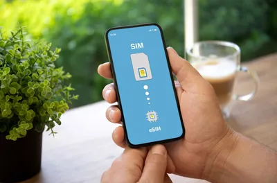 Где скачать и как установить живые обои на телефон - AndroidInsider.ru