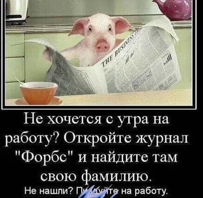 Когда в 6:00 утра нужно на работу #наработу #поравставать #утро #будил... |  TikTok